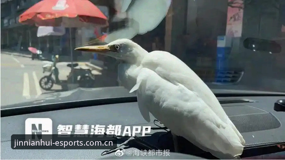 费城那一夜的雷暴，等一场球赛比等航班还煎熬。可偏偏就是在这样一场被打断、被积水泡过、连开球时间都飘忽不定的比赛里，姆巴佩用两粒进球，把人们的视线从天气拉回了足球本身。你有没有想过，同样是看这场历时近4小时的比赛，有人只看到比分牌上的3比0，有人却能透过数据与细节，看出金球级射手之间那微妙的追赶节奏？